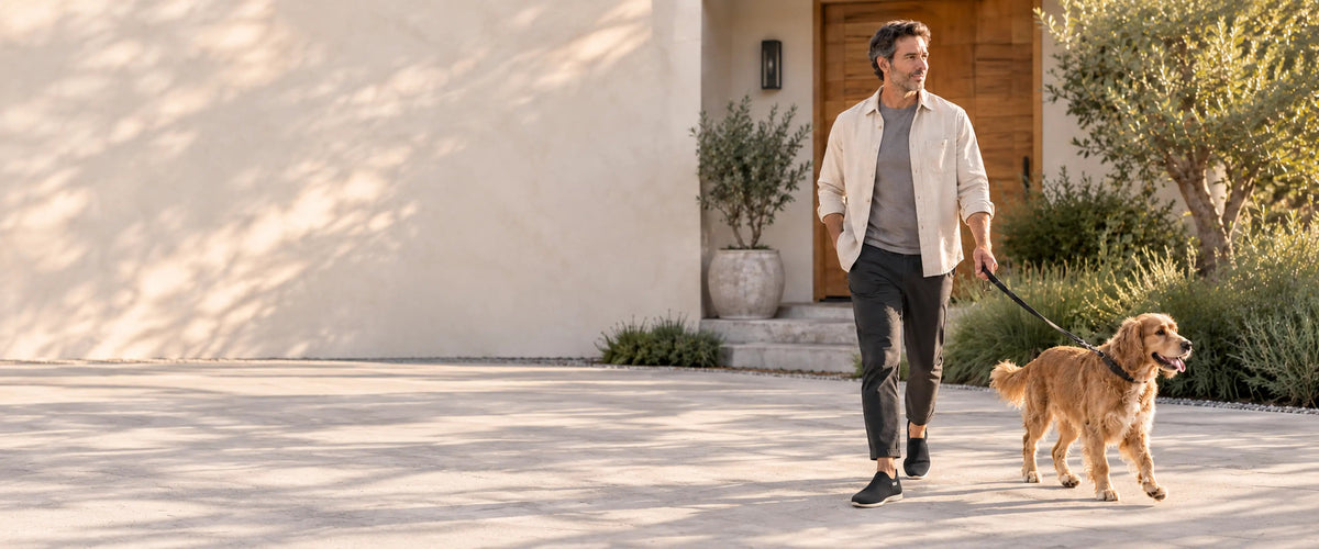 Man walking a golden retriever across a sunny driveway in Black COOPS Low Top sock shoes