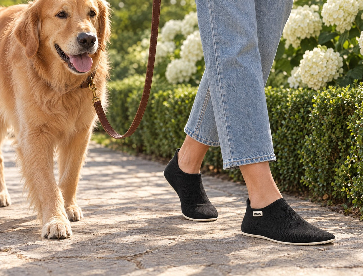 A woman walking a golden retriever across a sunlit stone courtyard in Black COOPS Low Top sock shoes
