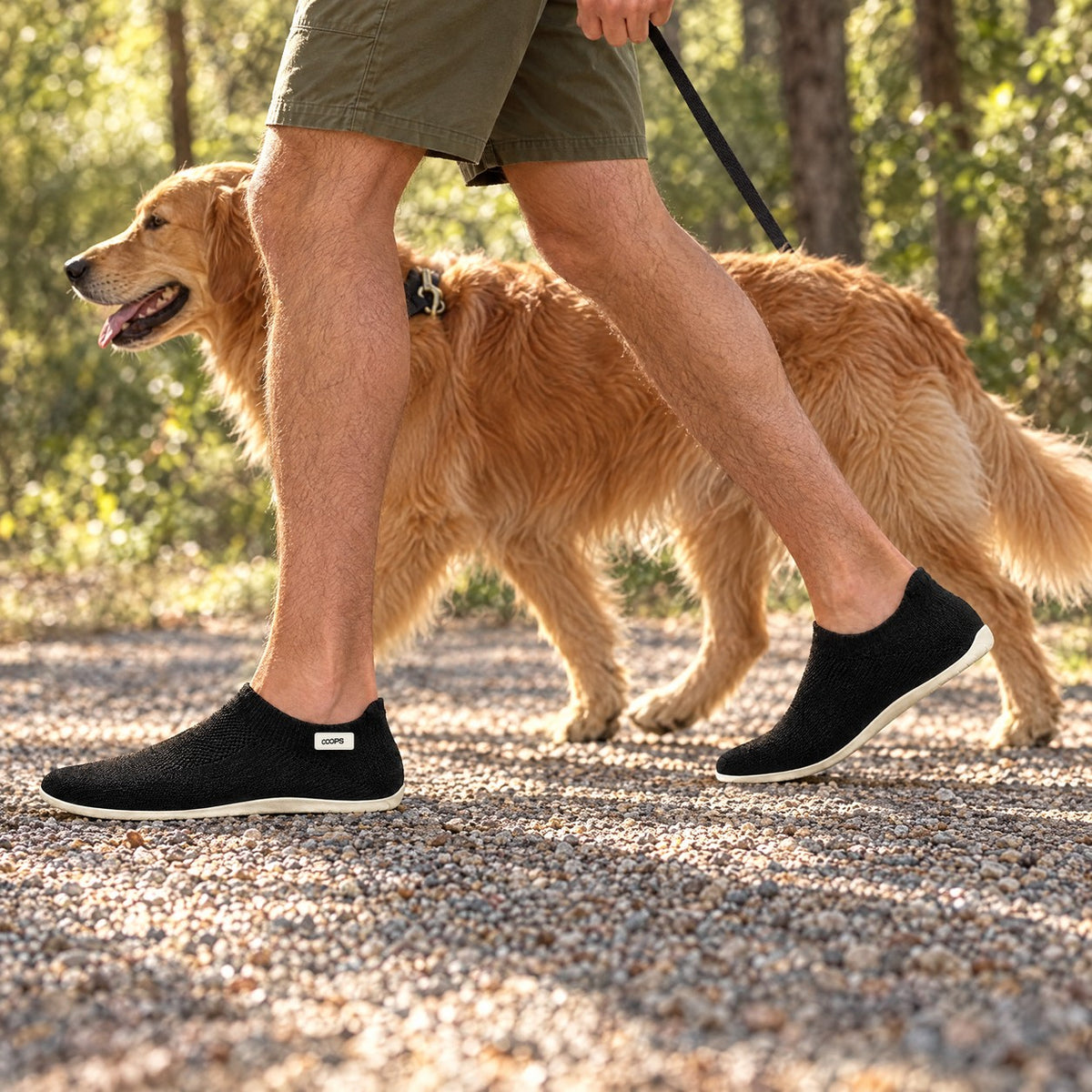 A person walking a golden retriever on a gravel trail in Black COOPS sock shoes